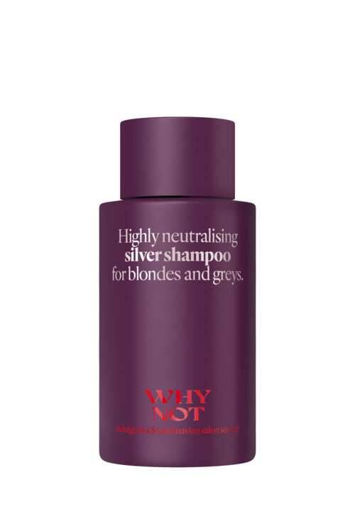 Silver Shampoo