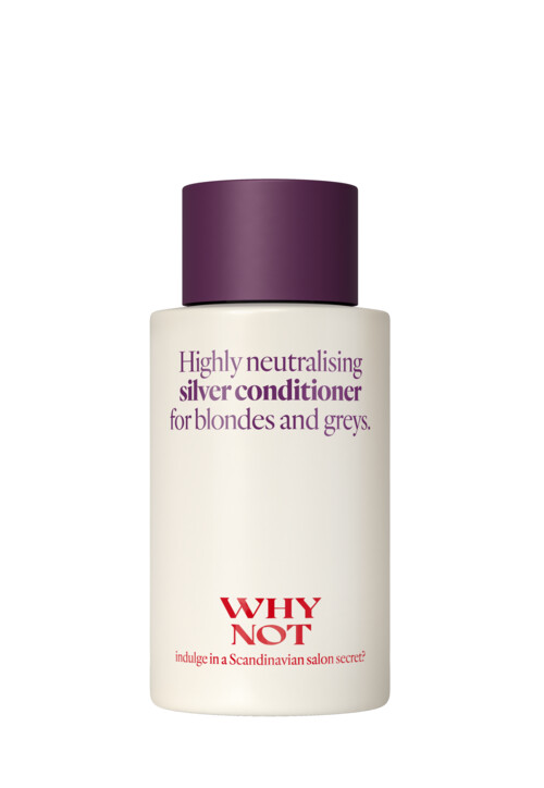 Silver Conditioner