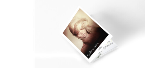 product brochure link
